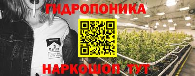гидропоника Моздок