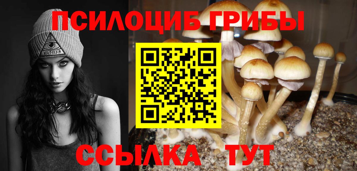 Псилоцибиновые грибы прущие грибы  Псилоцибиновые грибы Magic Shrooms  Вход с VPN  Улан-Удэ 